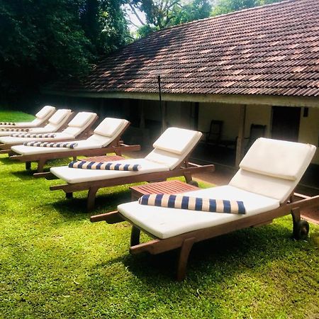 Hotel Ekho Sigirija Zewnętrze zdjęcie
