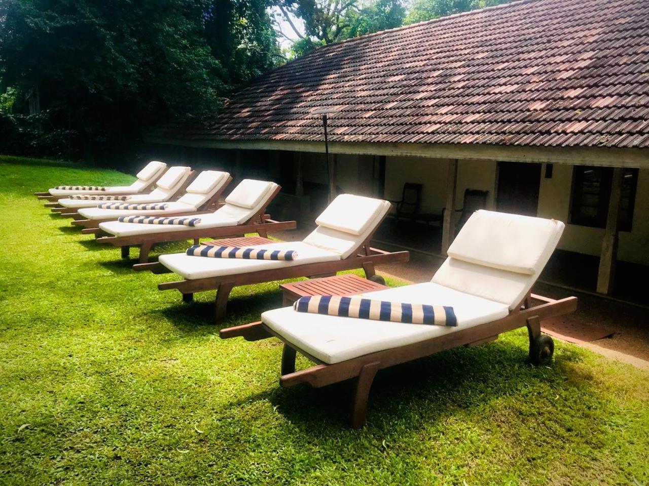Hotel Ekho Sigirija Zewnętrze zdjęcie